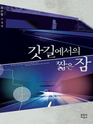 cover image of 갓길에서의짧은잠